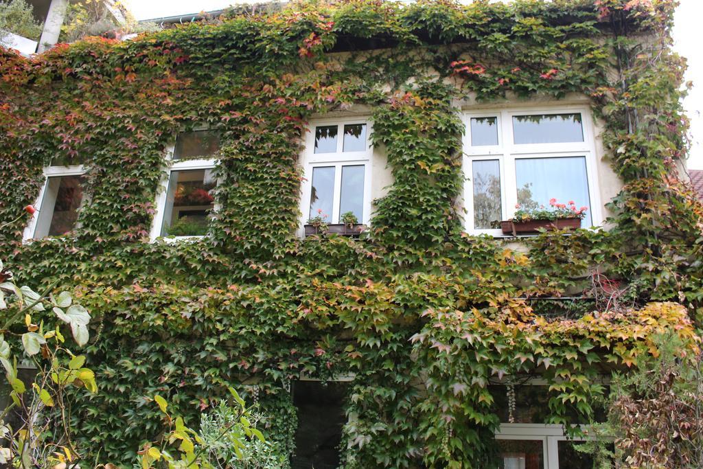 Hotel Wiener Kindl Zewnętrze zdjęcie